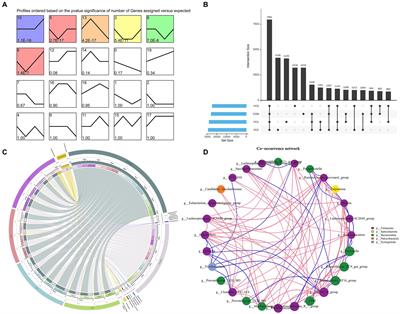 Effects of yeast culture supplementation on milk yield, rumen fermentation, metabolism, and bacterial composition in dairy goats